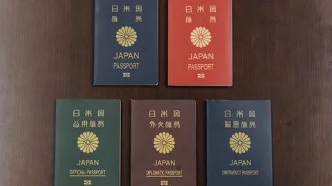 曼联去年夏季本应签下阿莫林，赛季中期紧急加盟救火